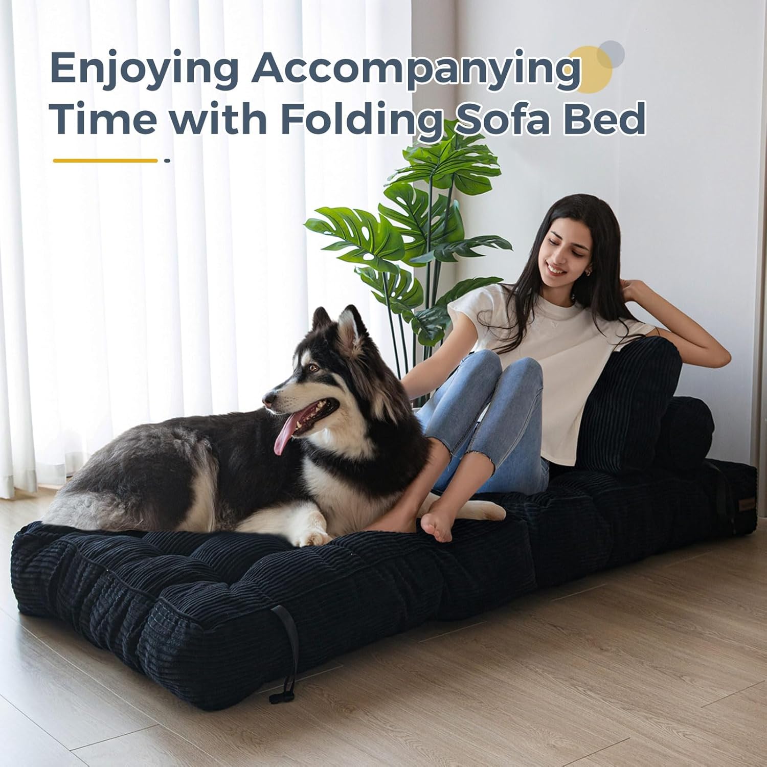 Folding Sofa Bed