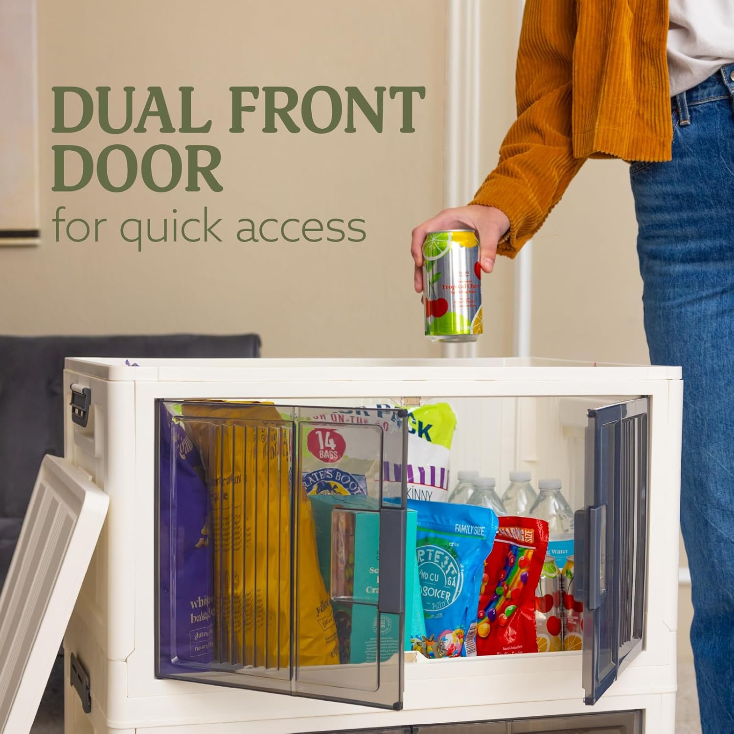 Lockable Storage Bins with Lids