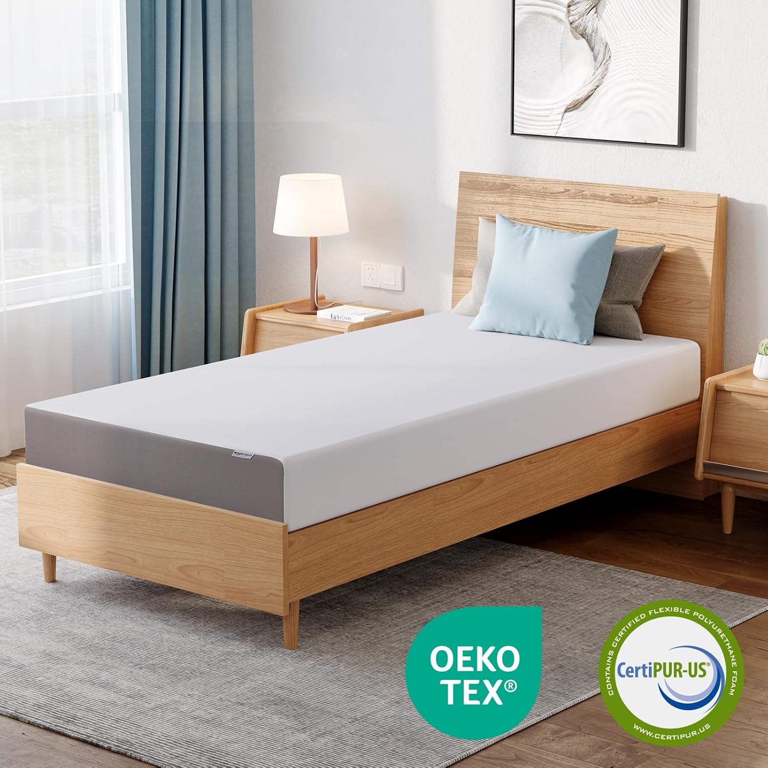 Plush Memory Foam Bed Mattress,